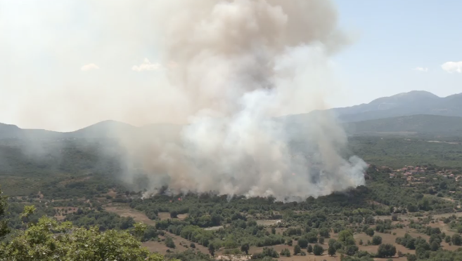 Πυρκαγιά σε αγροτοδασική έκταση στην περιοχή Βελιγοστή Αρκαδίας